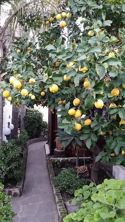 Nocleg ze śniadaniem Aquilone Residence Stromboli