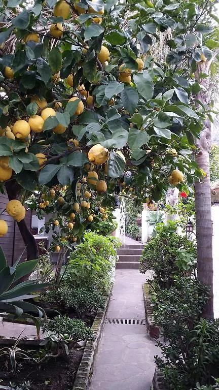 Aquilone Residence Stromboli Nocleg ze śniadaniem