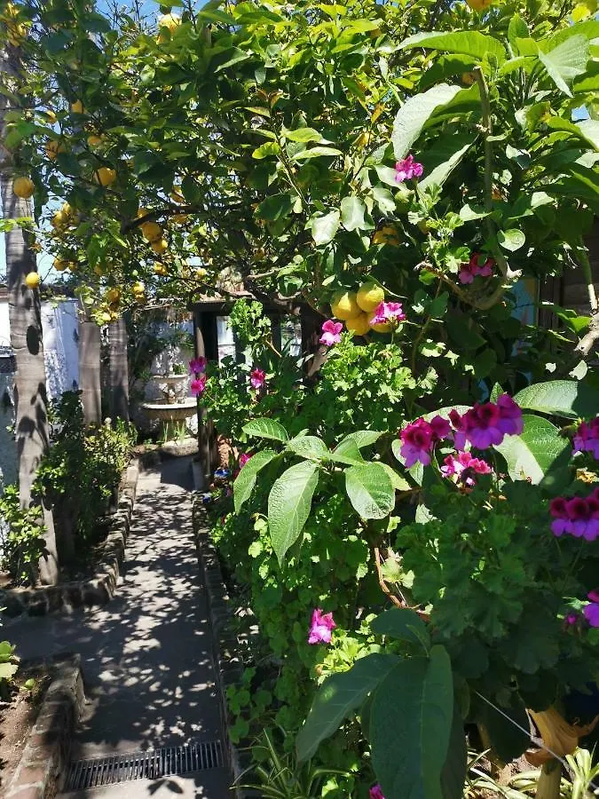 Nocleg ze śniadaniem Aquilone Residence Stromboli Włochy
