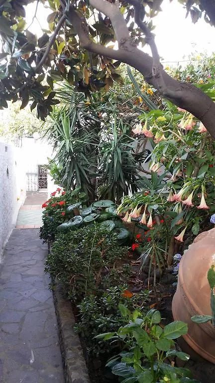 Frühstückspension Aquilone Residence Stromboli
