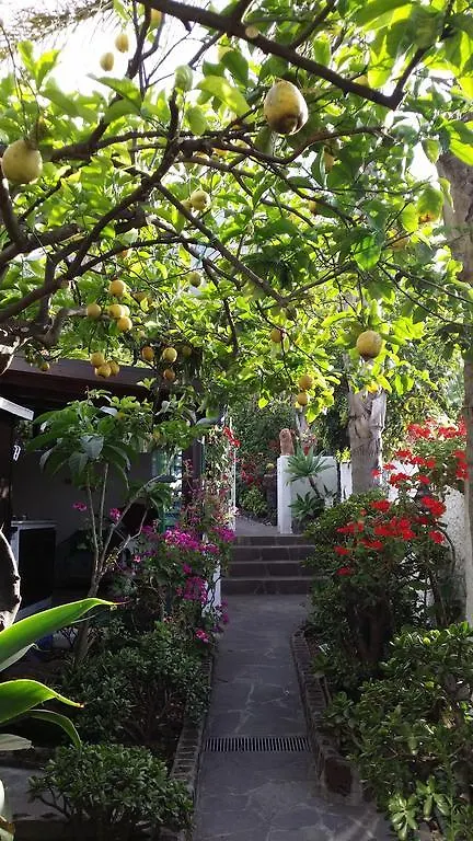 Aquilone Residence Stromboli Bed & Breakfast