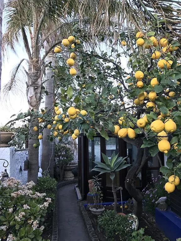 Aquilone Residence Stromboli Bed & Breakfast