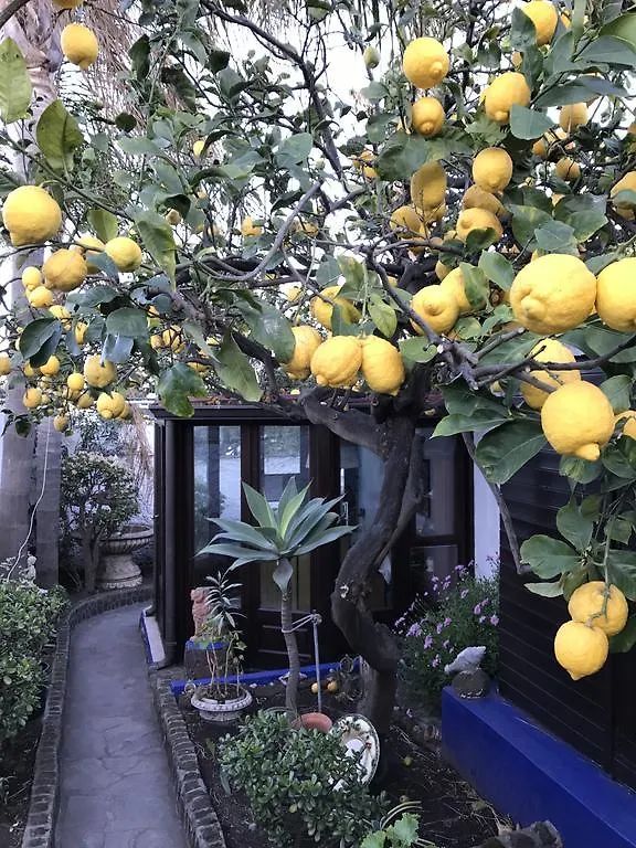 Aquilone Residence Stromboli Bed & Breakfast