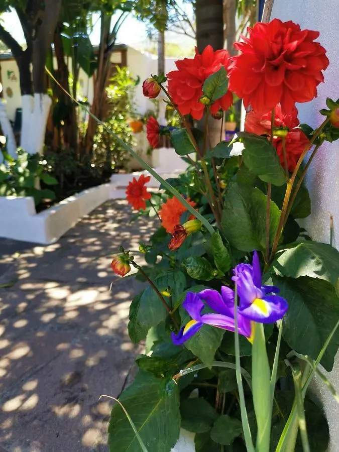 Bed & Breakfast Aquilone Residence Stromboli Italy