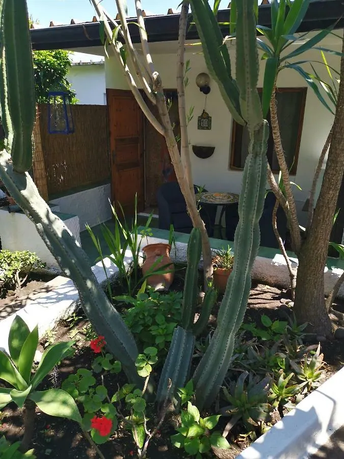 Bed & Breakfast Aquilone Residence Stromboli